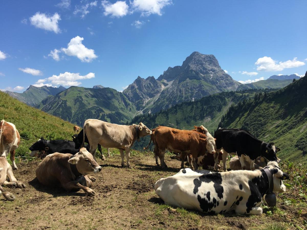Bergfex Gaisalphorn Mit Sommer-Bergbahnticket Oberstdorf Zewnętrze zdjęcie