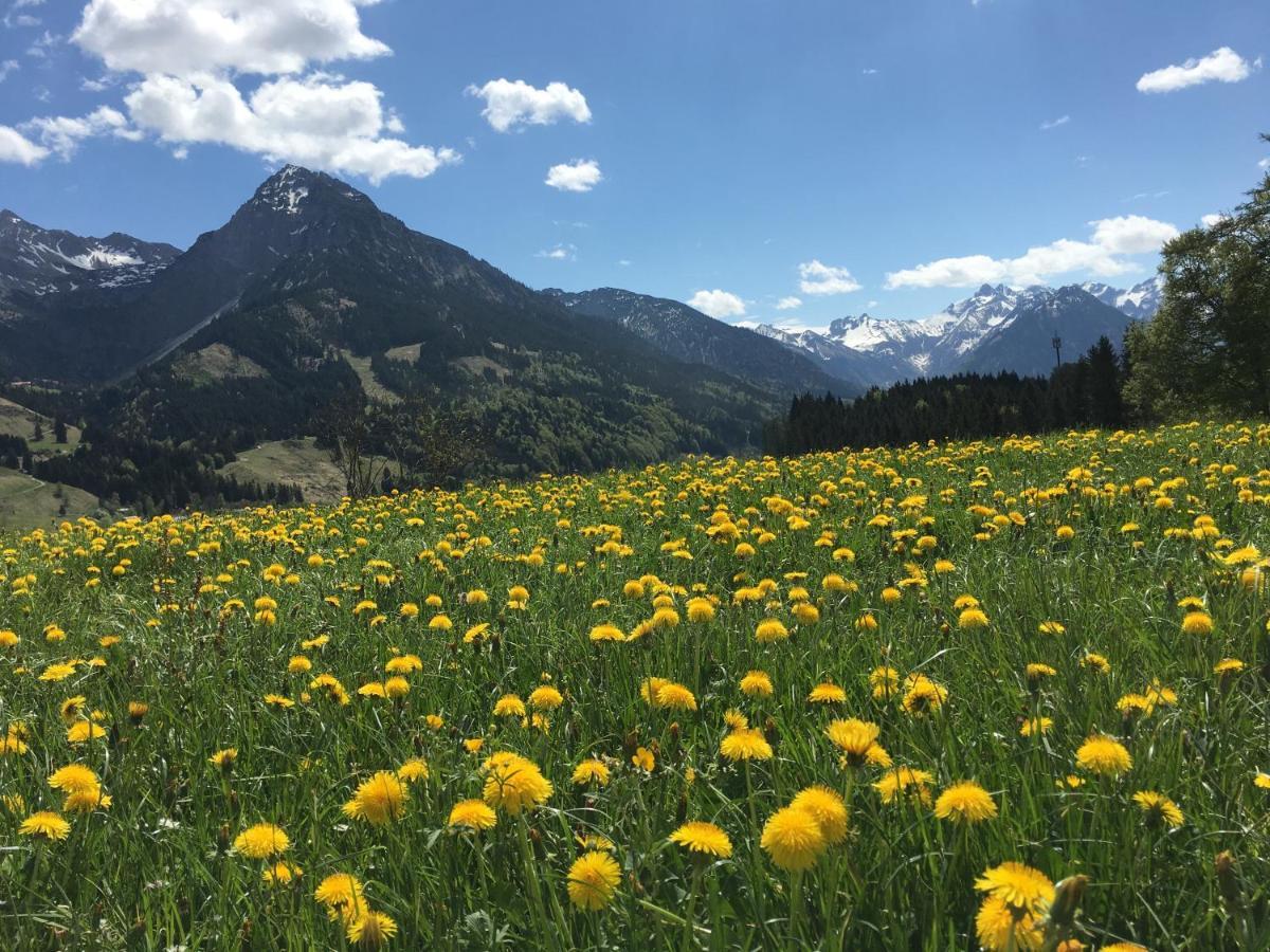 Bergfex Gaisalphorn Mit Sommer-Bergbahnticket Oberstdorf Zewnętrze zdjęcie